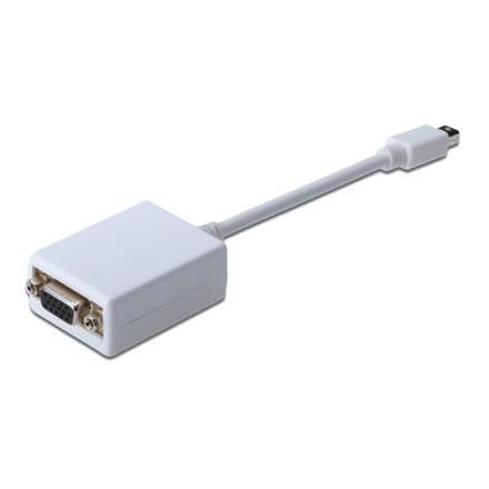 Conversor Digitus Displayport Mini Dp - Hd15 M/H 0,15m Dp 1.