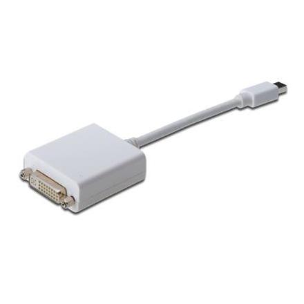 Conversor Digitus Displayport Mini Dp - Dvi (24+5) M/H 0,15m