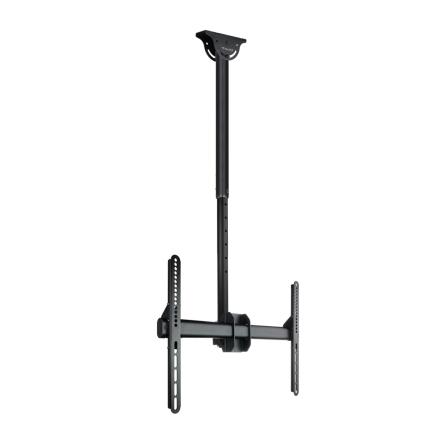 Suporte De Teto Tooq Para Écrãs 37" 70" 50Kg