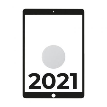 Apple iPad 10.2 2021 9th WiFi A13 Bionic 256GB Prateado