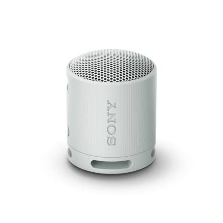 Coluna Bluetooth Sony SRSXB100H